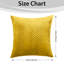 Aspire Homeware Embossed Square Velvet Cushion Cover-122221118-122903591