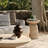 Foundry Select Tithi Stylish Decorative End Table for Elegant Home Interiors-661188728