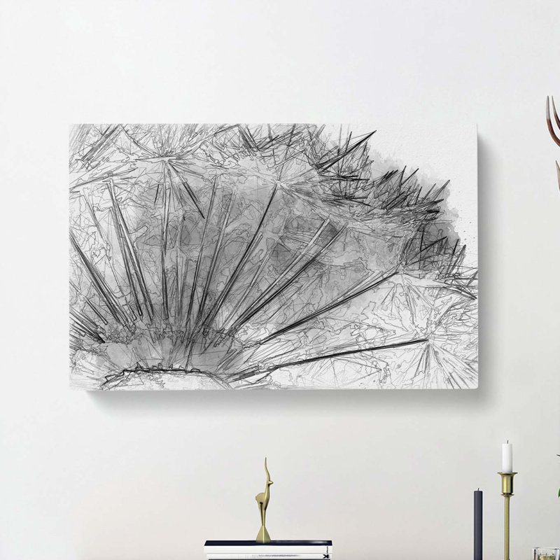 Dandelion Seed Sketch In Abstract - Wrapped Canvas Print, 35cm H x 50cm W x 3cm D