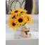 Tige de tournesol pleine floraison-1116673734