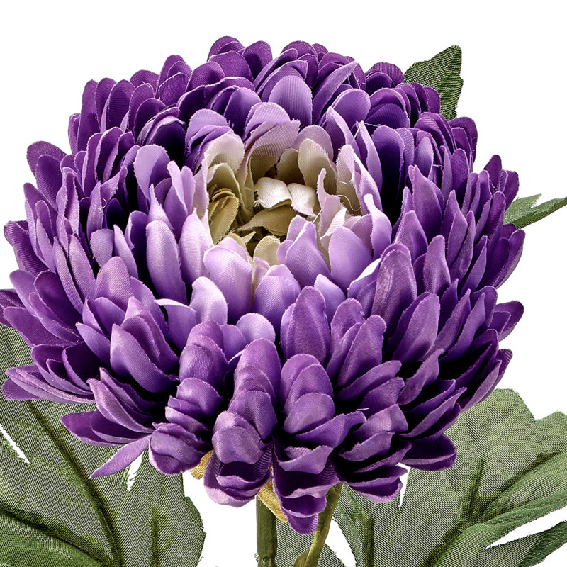 Tige d'araignée 23 po, Mauve