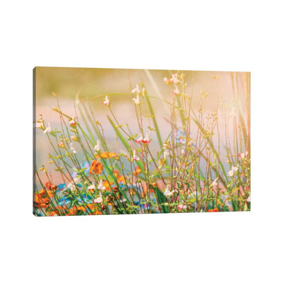 Field Of Flowers by MScottPhotography - Wrapped Canvas Print
