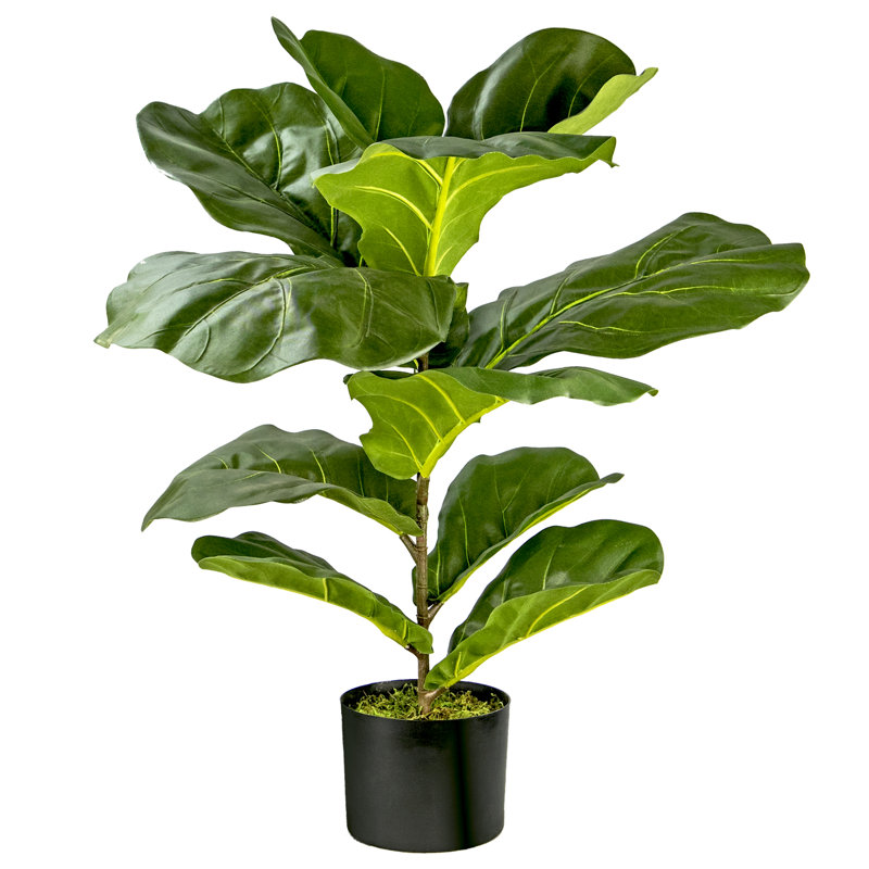 Figuier artificiel 30 po en pot