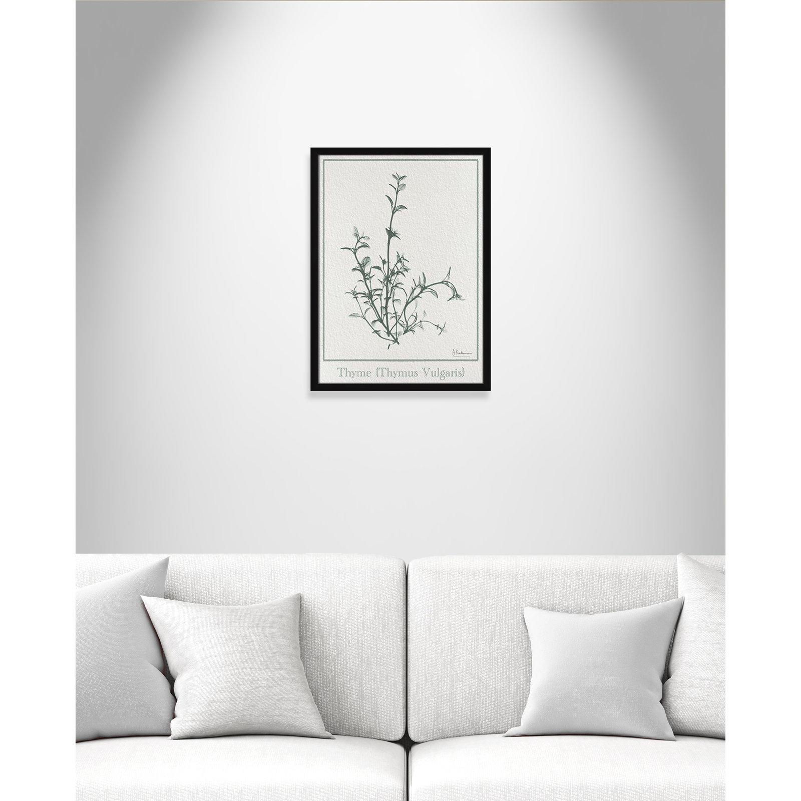 Jeanette "Thymus Vulgaris" Print, 23" H x 17" W x 1.25" D, Satin Black Framed Paper