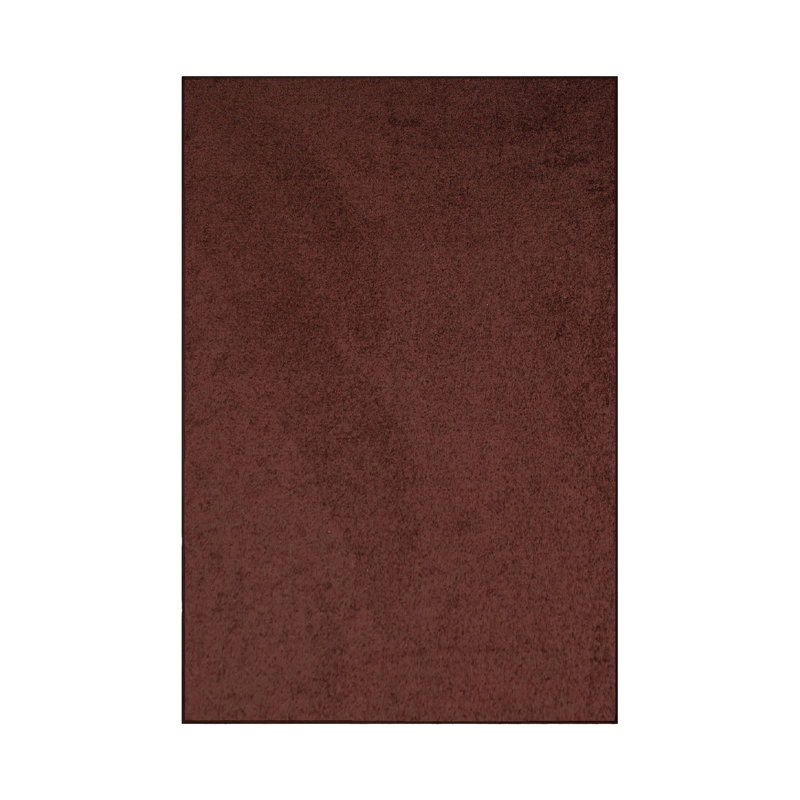 Modern Plush Pet and Kids Friendly Solid Color Chocolate Area Rugs, Stain & Fade Resistance, Perfect for Living Room, Dining Room, Bedroom, Playroom and Kidsroom, Event, Wedding, Amberjo Rug
