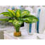 Faux Hosta Plant in Glass Vase