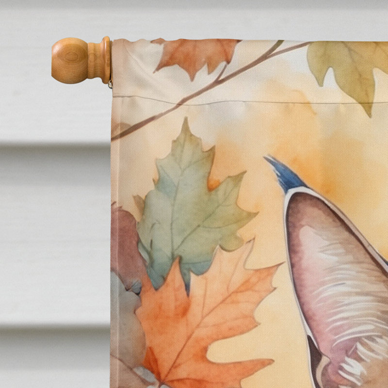 Chat en feuilles d'automne, Ojos Azules