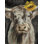 «Floral Highland Cow» par Silvia Vassileva