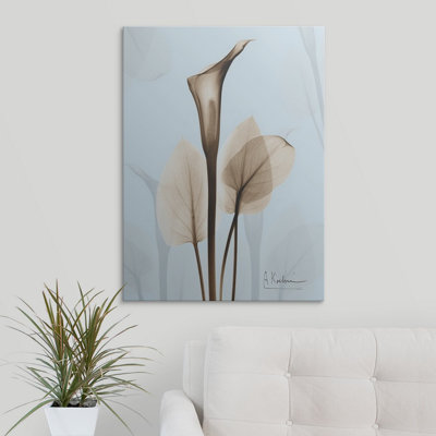 Reproduction de photo Manigault "Calla Lily X-Ray floral" par Kiranjit