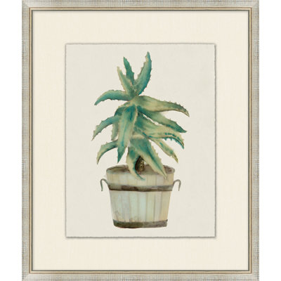 Aloe Pot 7 Print