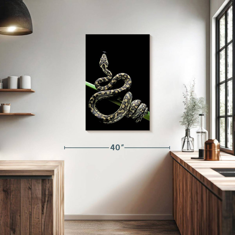 Poised Carpet Python, 36" H x 24" W