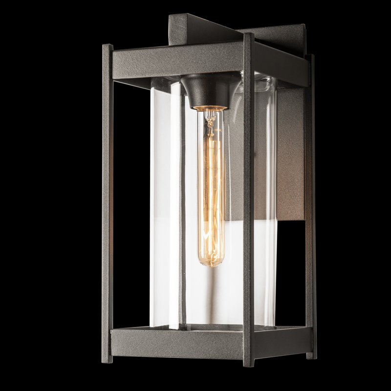 Lanterne murale d'extérieur Cela, H 16,3 po x l 8 po x P 8,9 po, Verre opale, Coastal Natural Iron