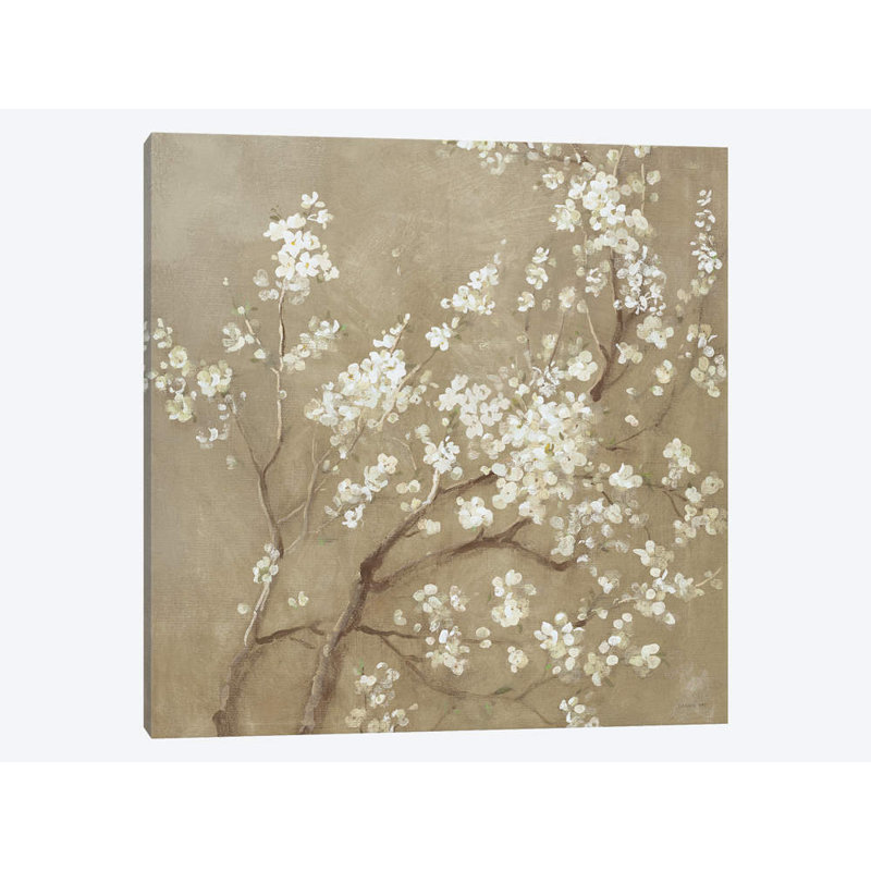 White Cherry Blossoms I by Danhui Nai - Print on Canvas, 30.48 cm H x 30.48 cm W, Wrapped Canvas