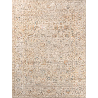 Hand Knotted Southwestern Area Rug in Beige/Gray