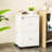 Jyiah 17'' Wide 2 -Drawer Mobile File Cabinet-1552262168