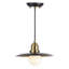 Deltona 1 - Light Black Cone Pendant