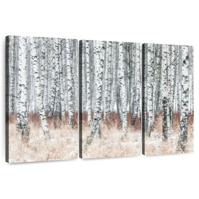 Alvord Winter Birch Grove