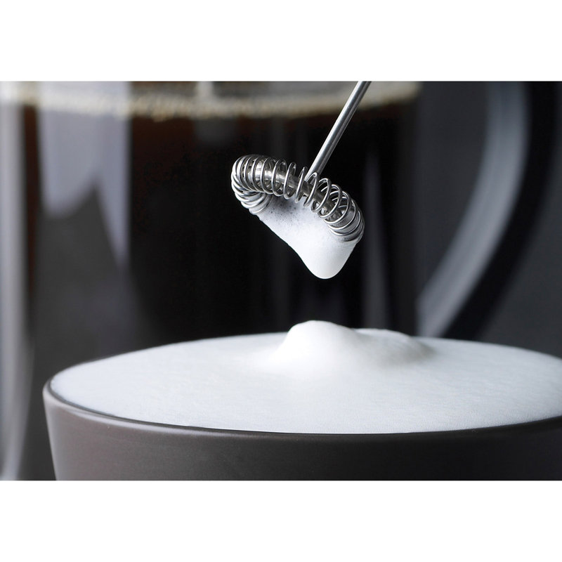 Compact Stainless Steel Handheld Milk Frother with Stand