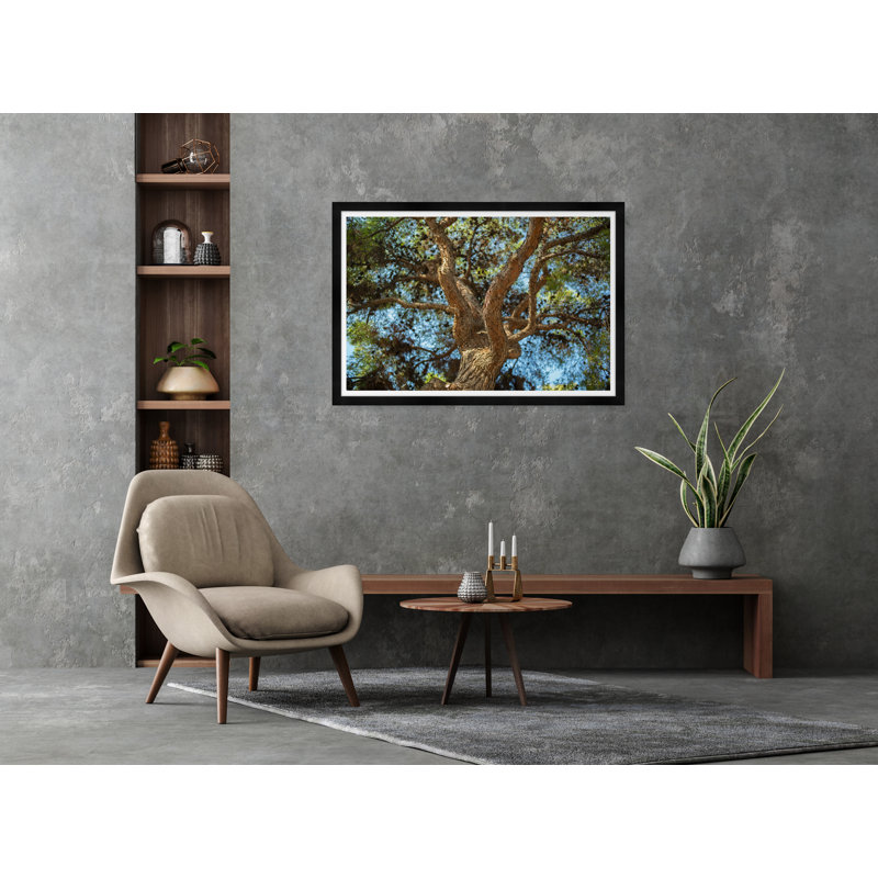 Athens Branches - Photographie avec cadre photo