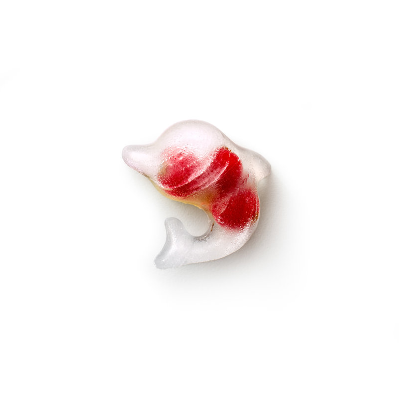 Lékué Dolphin Ice Cube Tray With Lid