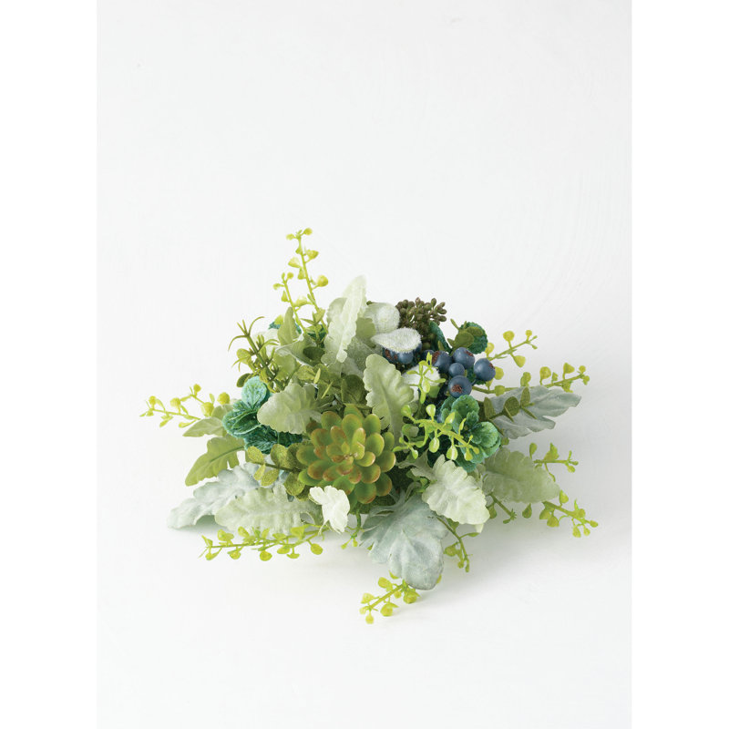 Plante à feuillage demi-sphère succulent et baies