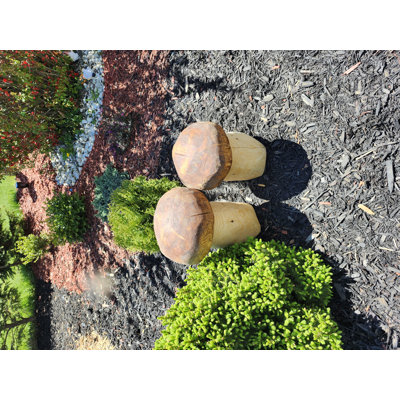 Champignons d'extérieur en bois
