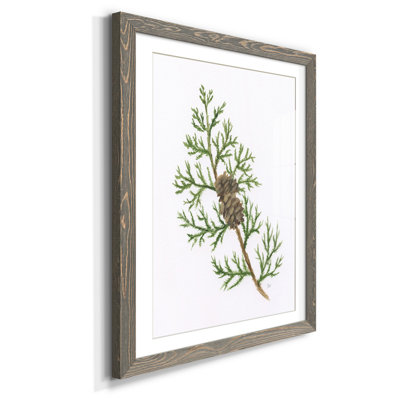 " Winter Botanical III " Painting Print