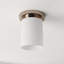 Nina 1 - Light Flush Mount