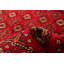 Tapis décoratif en laine rouge de conception unique 5 pi 1 po x 9 pi 4 po noué à la main 1980s