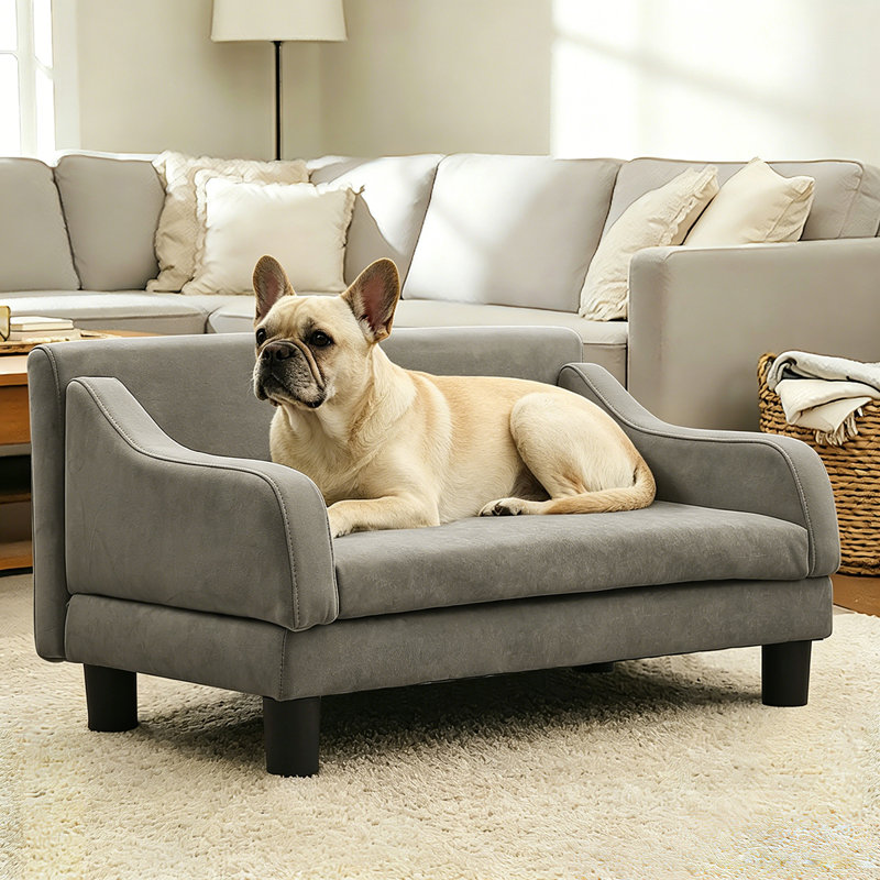 Petit et moyen canapé pour chien avec assemblage sans outil, coussin lavable | Canapé-lit d'intérieur pour animaux de compagnie, facile à nettoyer, résistant aux égratignures