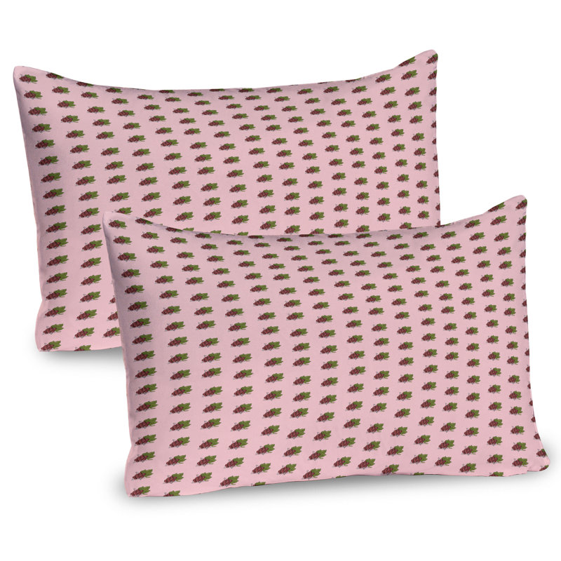 Ensemble de 2 taies décoratives Ambesonne, H 20 po x l 36 po