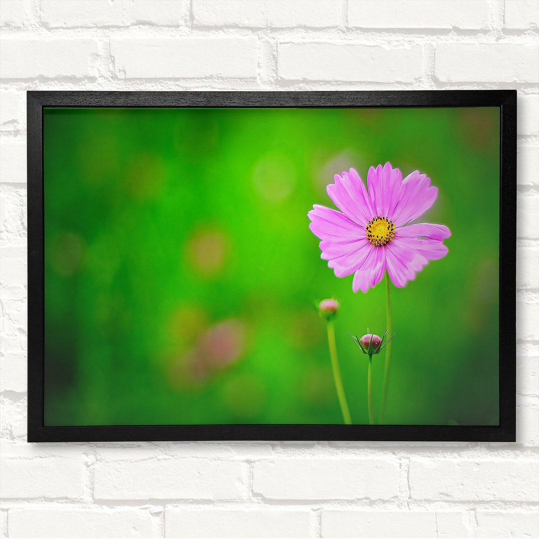 Gerahmtes Leinwandbild Pink Flower Green Background