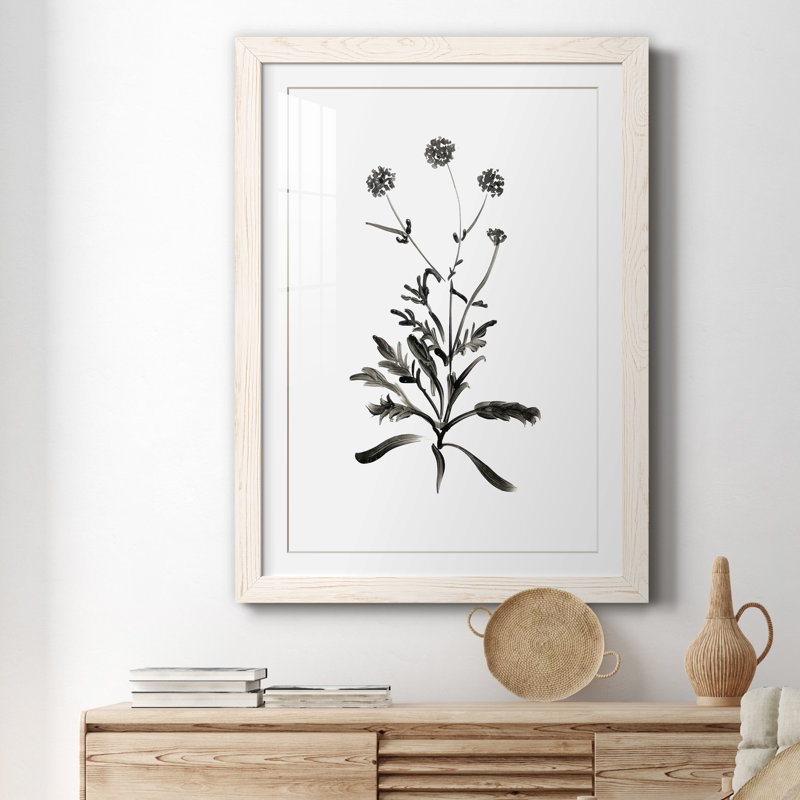 Inky Botanical I - peinture encadrée, H 44 po x l 31 po x P 1 po, Cadre blanc