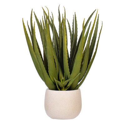 19,5 plante