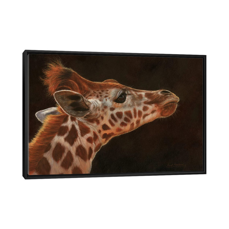 « giraffe portrait i », impression sur toile, H 18 po x l 26 po x P 1,5 po, Toile avec cadre noir, Pas de tapis