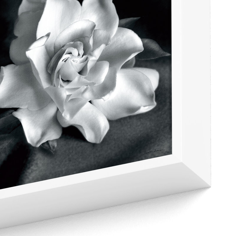 "Gardenia" par Debra VanS vêtementsingen, photographie de fleur sur toile tendue, H 18 po x l 18 po x P 2 po, Blanc