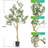 84 " H Faux Olive Tree