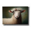 «Sheep Queen» par Seven Trees Design-1310362470