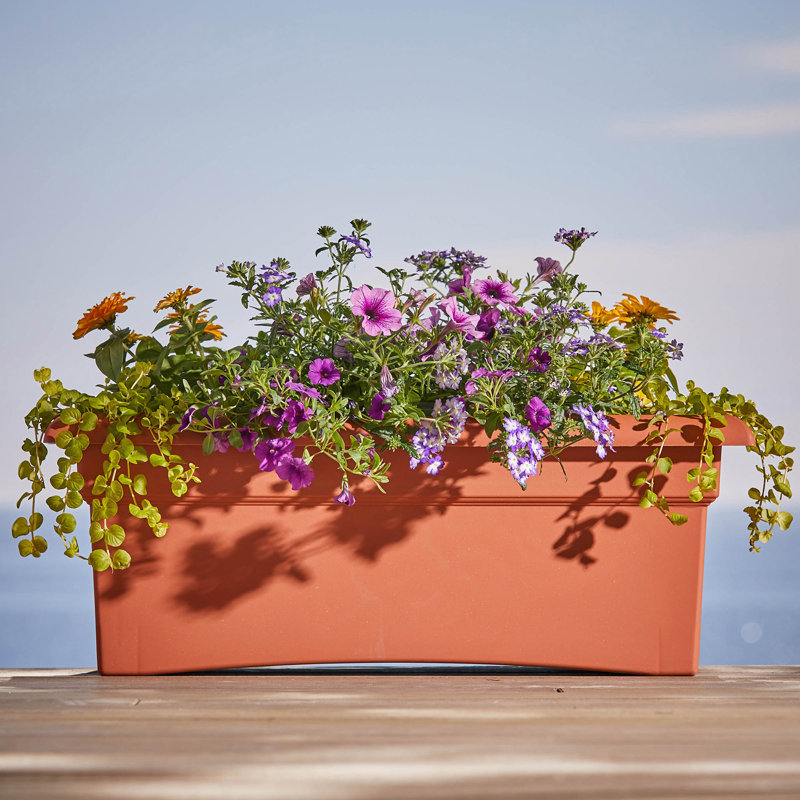 Boîte à fleurs Veranda, Terra Cotta