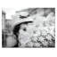 Photographers Lane - Wrapped Canvas Print-22472029