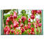 Bunny Williams: Life in the Garden Leather Bound Book