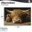 Plaque murale Sleeping Highland-1183281157