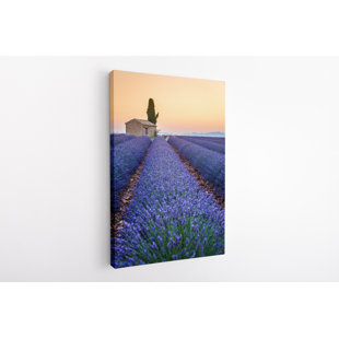 Signature Signature Collection Stripes Of Lavendar - photographie sur toile tendue