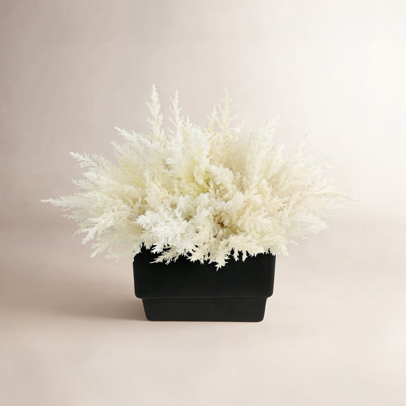Arrangement floral Pampas dans un vase, H 13 po x l 16 po x P 16 po, Noir / blanc