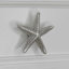 2" Starfish Small Knob-104674675-39948825