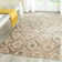 Cian Geometric Jute / Sisal Hand Woven Area Rug