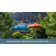 Iuka 108'' Market Sunbrella® Umbrella