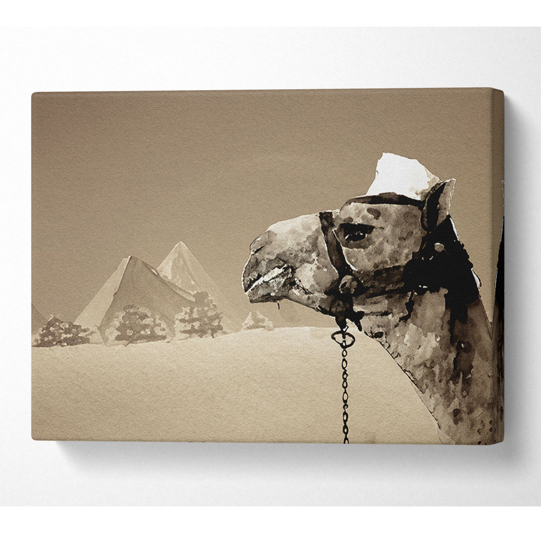 Pyramide Kamel - Kunstdrucke auf Leinwand - Wrapped Canvas