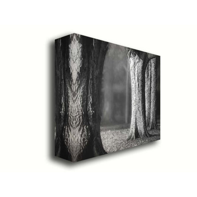 Trees in the Afternoon Light by Hal Halli. Giclee Gallery