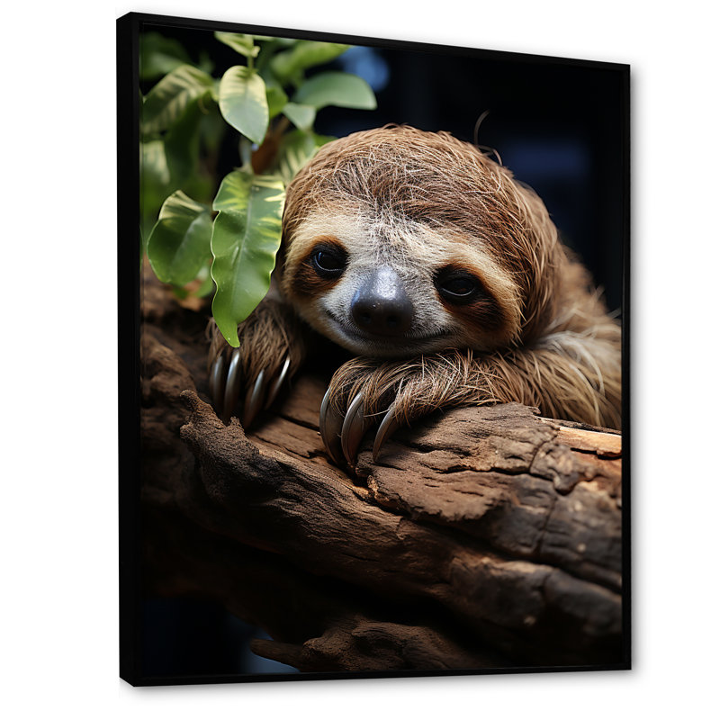 Rustic Repose Sloth sur toile, H 32 po x l 16 po x P 1 po, Cadre flottant noir